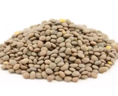 خرید عمده عدس