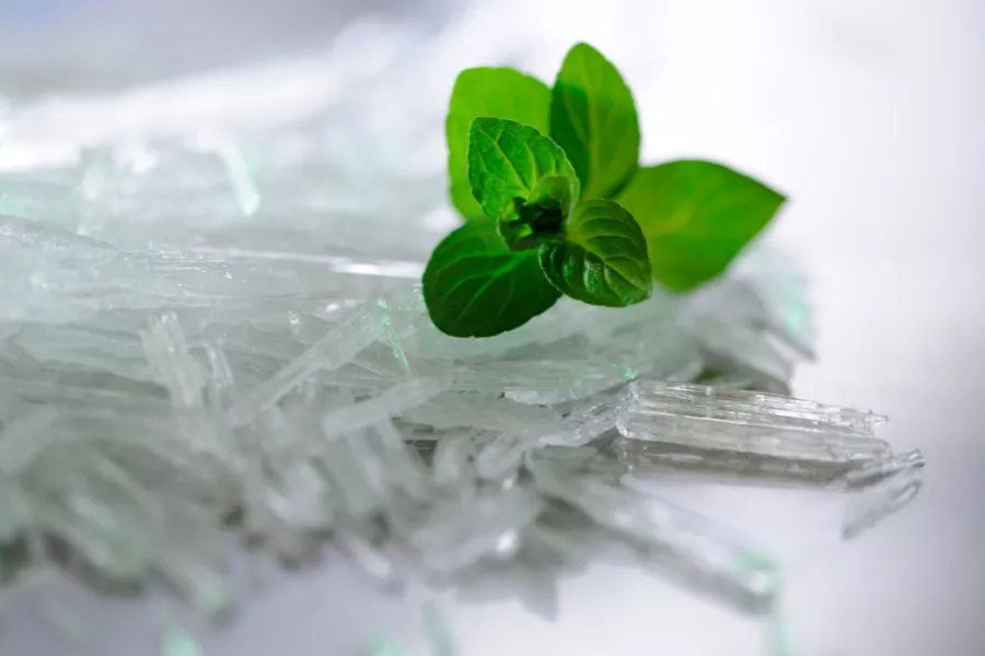 منتول (Menthol) چیست؟