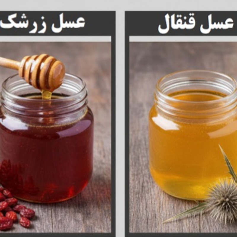 عسل زرشک یا عسل قنقال؟