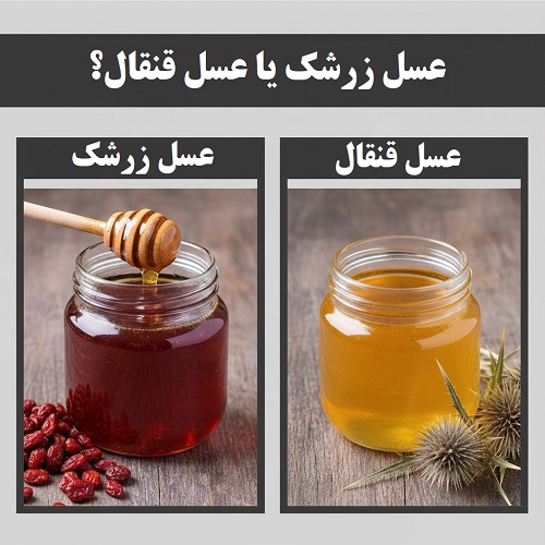 عسل زرشک یا عسل قنقال؟