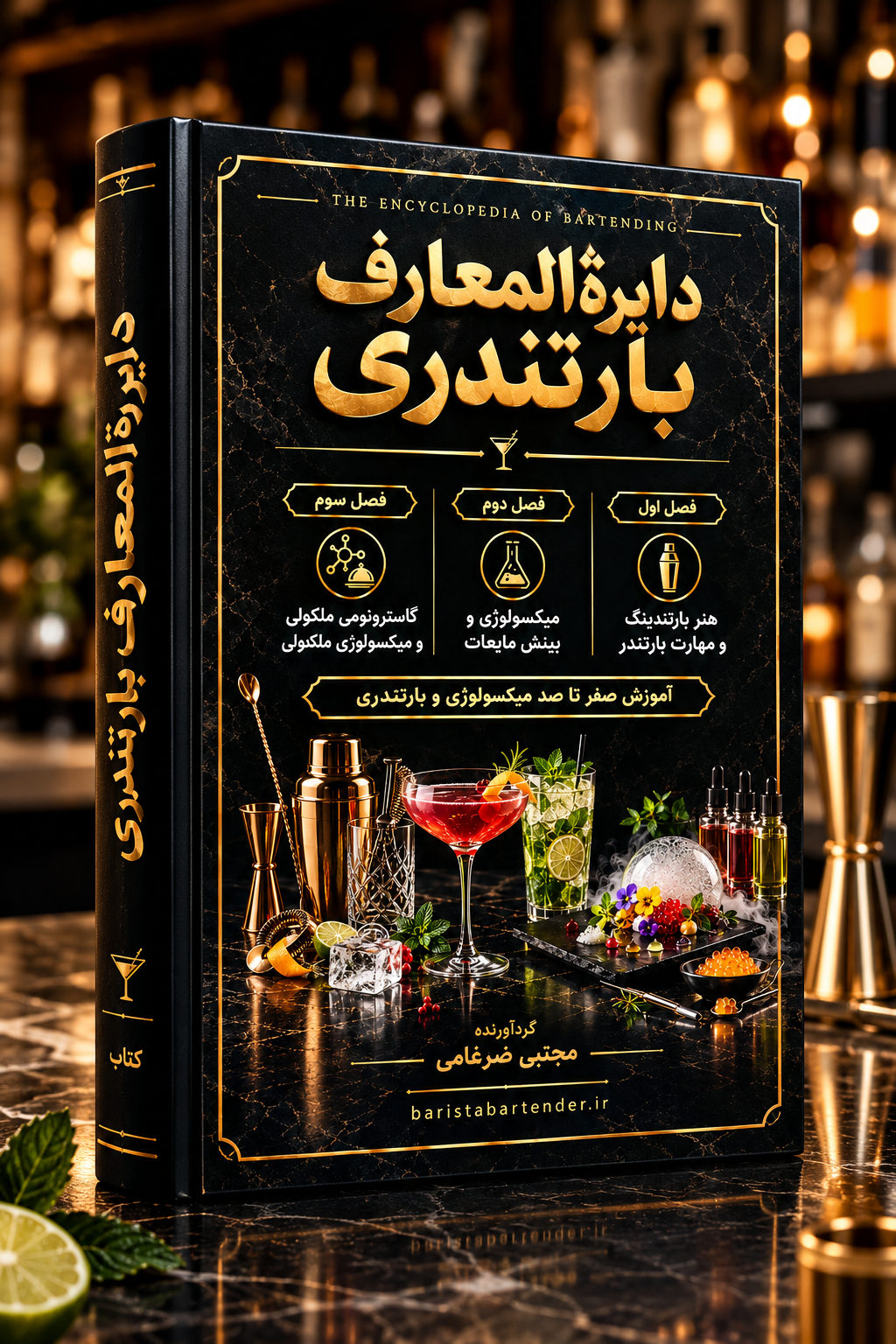 کتاب میکسولوژی و بارتندری