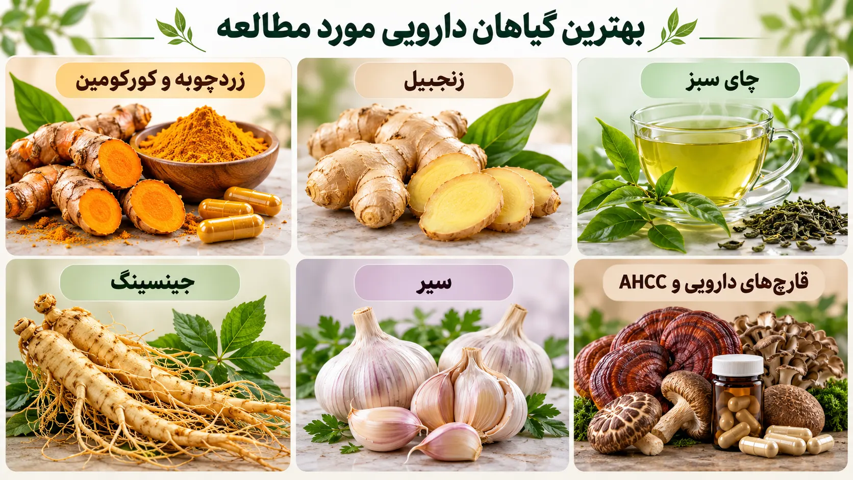 بهترین گیاهان دارویی برای درمان سرطان