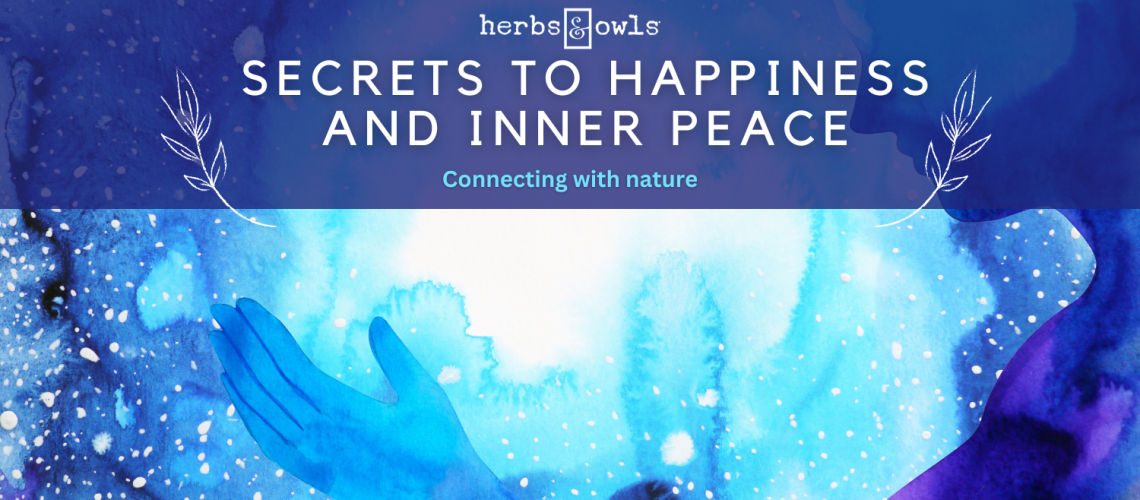 Copy-of-Letting-Go-Through-Gratitude-Blog-2.png