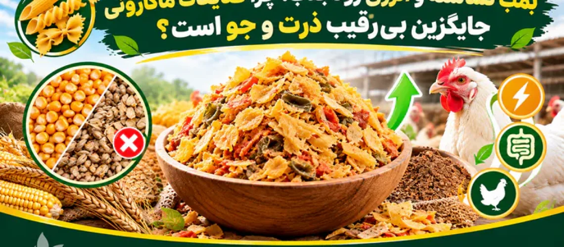 خرید ضایعات ماکارونی؛ بررسی کیفیت، کاربرد در خوراک دام و نکات مهم انتخاب