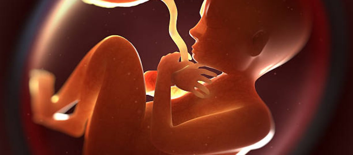 istockphoto-183875109-612x612-1.jpg