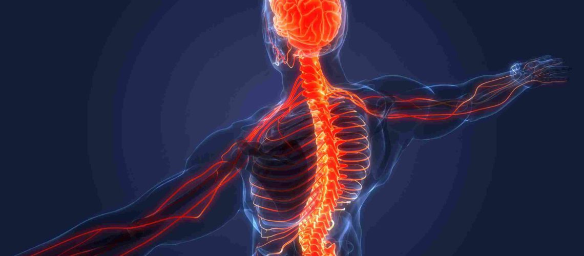 treatments-for-nerve-and-spinal-disorders-1_11zon-scaled.jpg